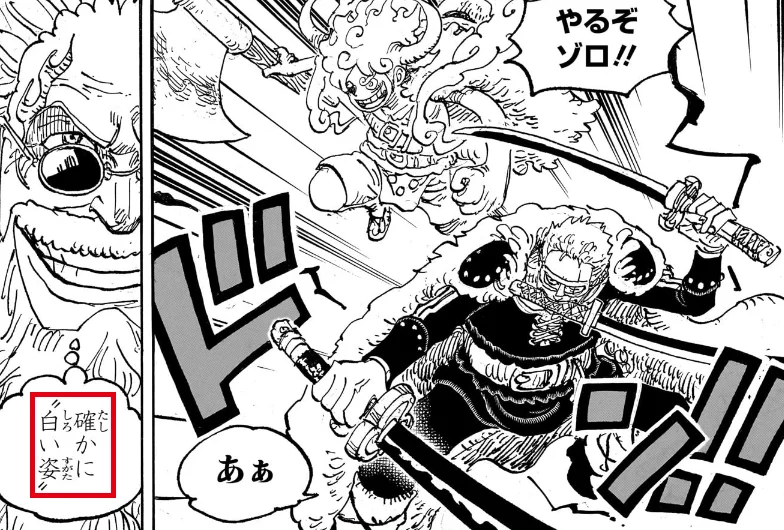 ギア5のルフィとゾロを見て「確かに〝白い姿〟」とつぶやくギャバン