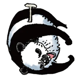 DOSKOI PANDA