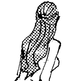 マグノリア